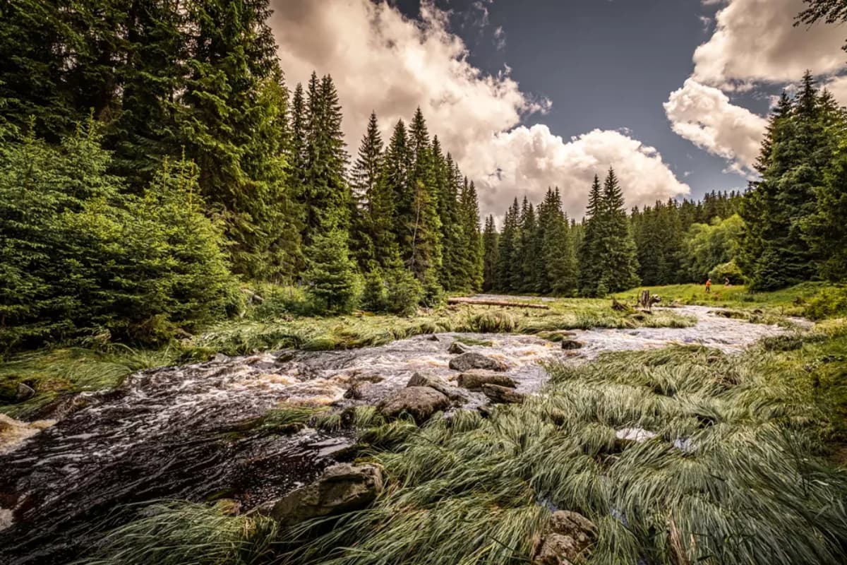 Šumava – Teambuilding v srdci české přírody