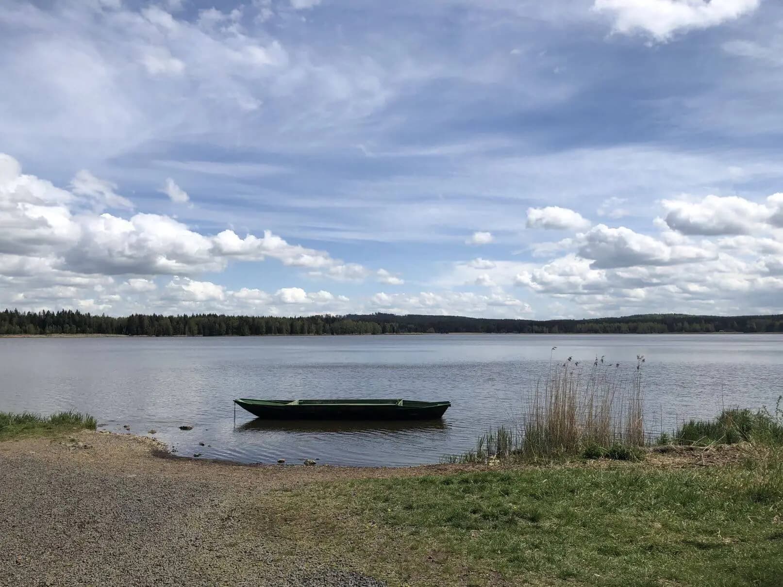 Team-Building in Brdy – Active Relaxation for Your Team