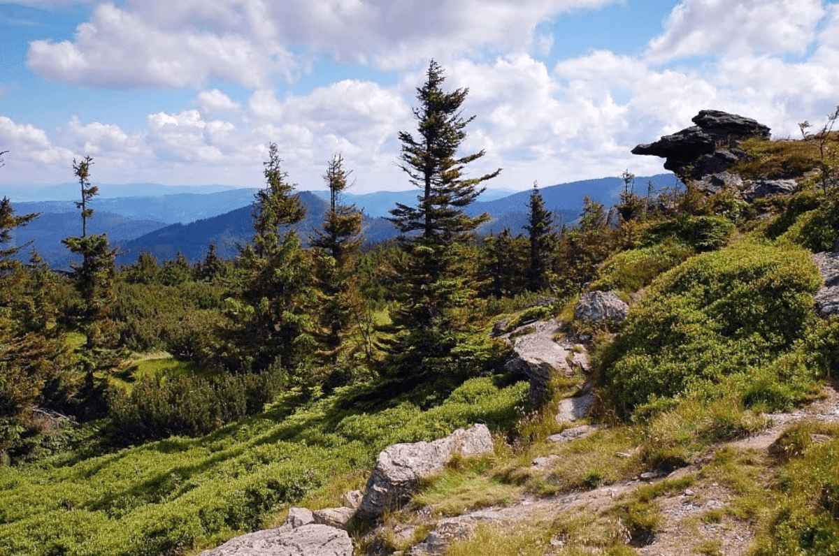 Team-Building in the Volovské Hills – Unite Your Team in the Heart of Slovak Nature