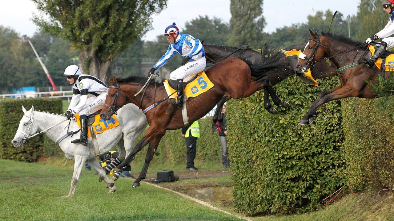 Poznejte Pardubice – Teambuilding s nádechem historie a dobrodružství