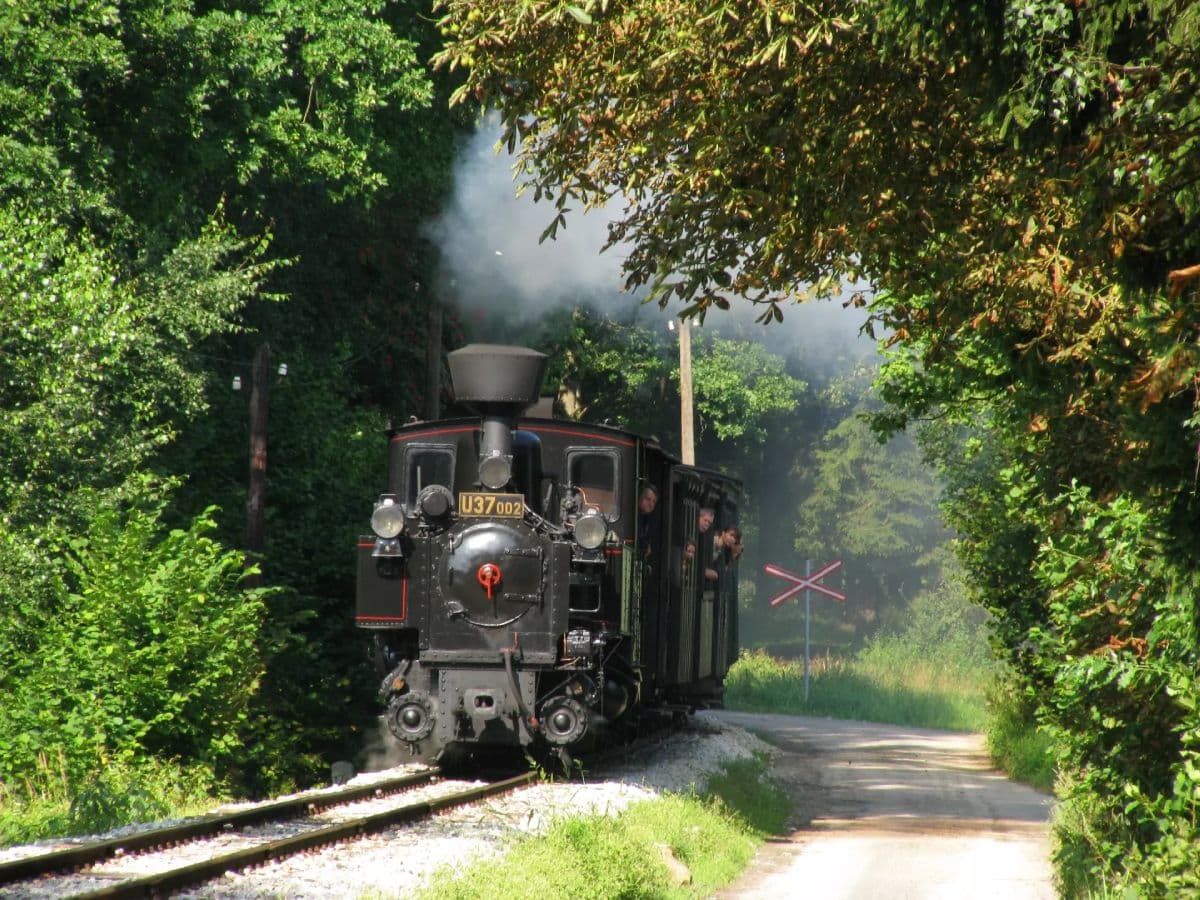 Team-Building in Česká Kanada – Adventure and Relaxation in One