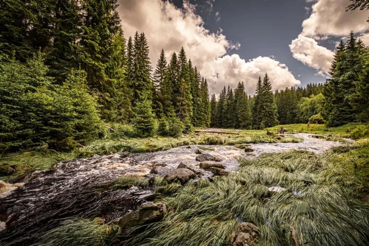 Šumava – Team-Building in the Heart of Czech Nature