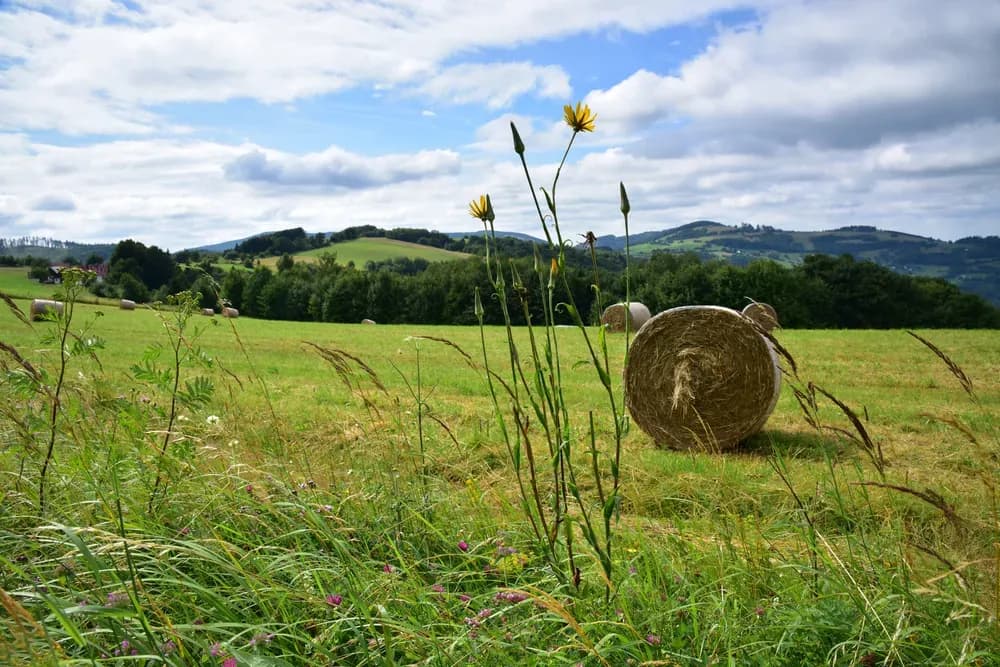 White Carpathians – Team-Building Beneath Peaks of Traditions and Beauty