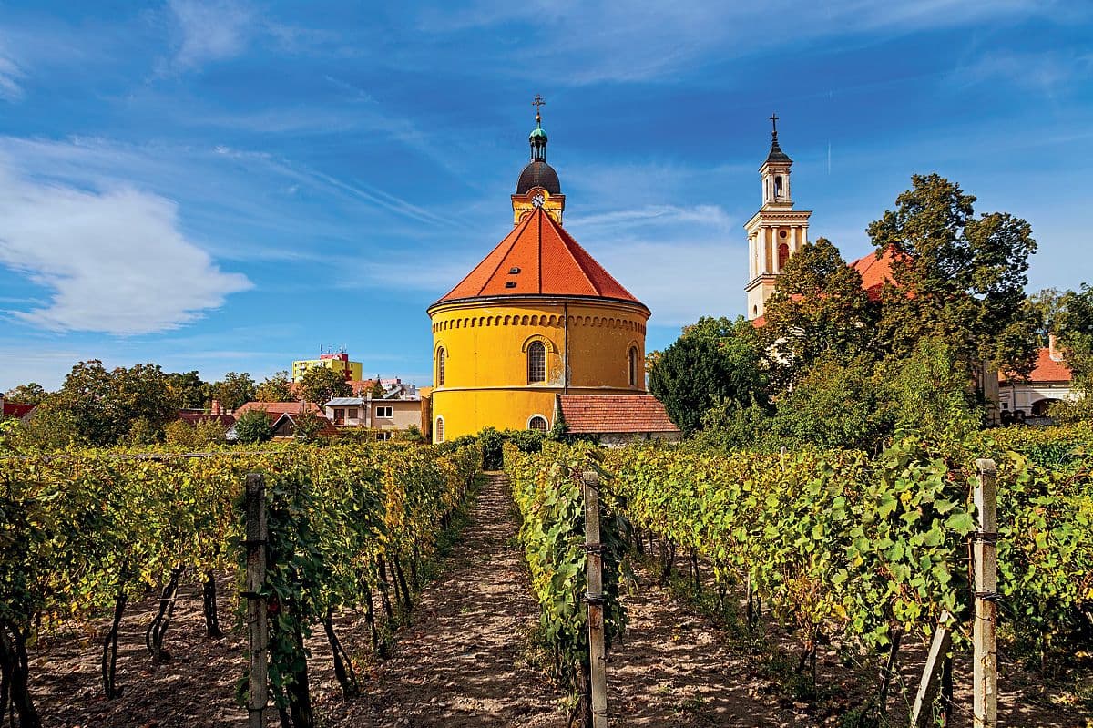 Zážitek na míru – Teambuilding v Podunajské nížině